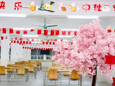 55����-��������