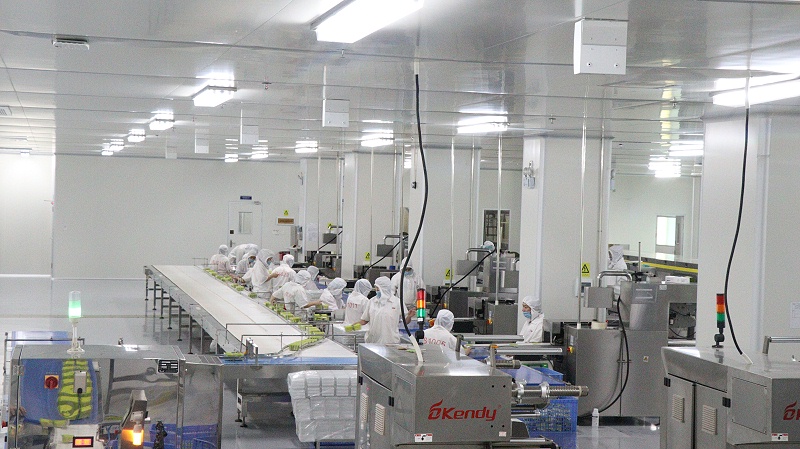 55������������