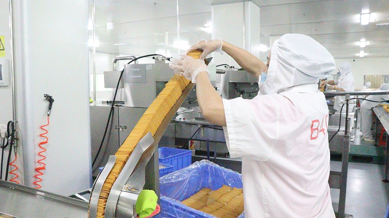 55����-Ա����ҵ