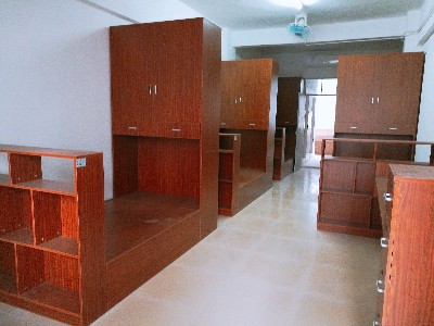 55����-Ա������